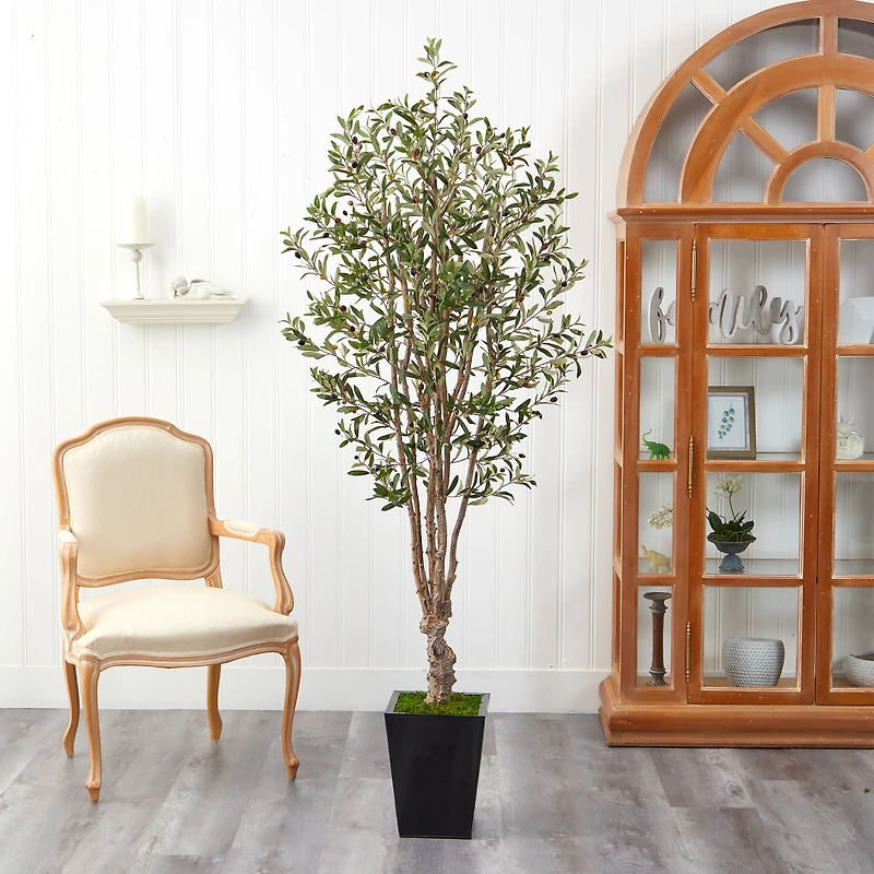 6.5ft. Olive Tree in Black Metal Planter