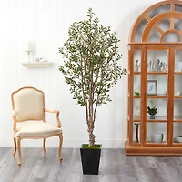 6.5ft. Olive Tree in Black Metal Planter