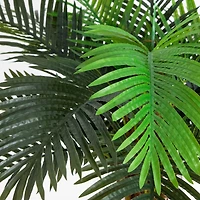 8ft. Potted Coconut Palm Tree