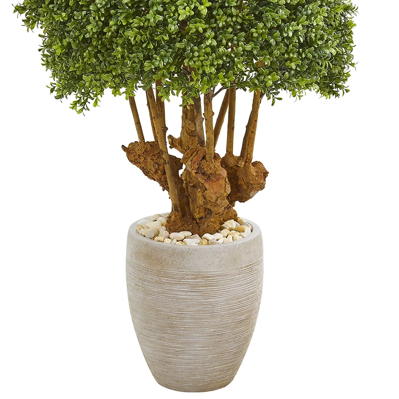 3ft. Boxwood Topiary Tree in Sandstone Planter
