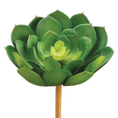 Soft Touch Green Echeveria Pick with Light Green Center