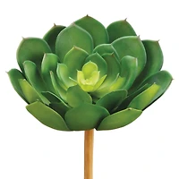 Soft Touch Green Echeveria Pick with Light Green Center