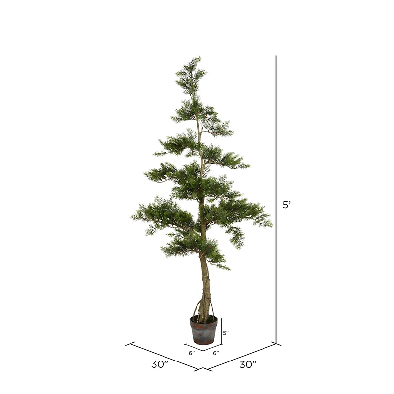 5ft. Potted Cedar Tree