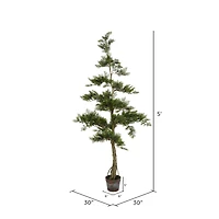 5ft. Potted Cedar Tree