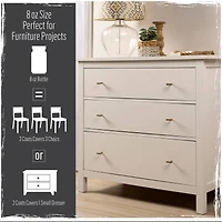 FolkArt® Home Decor™ White & Tan Chalk Paint with Brushes Kit