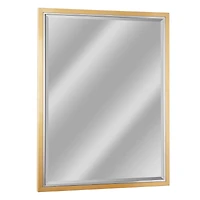 Brushed Brass/Chrome Metal Framed Beveled Edge Wall Mirror - 30" x 40"