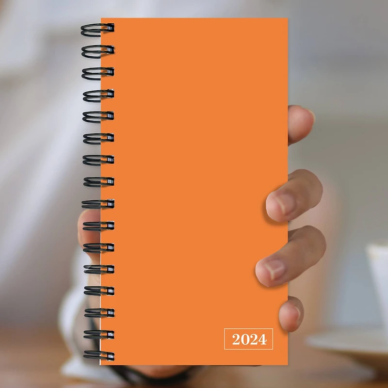 TF Publishing 2024 Citrus Orange Small Weekly Monthly Planner