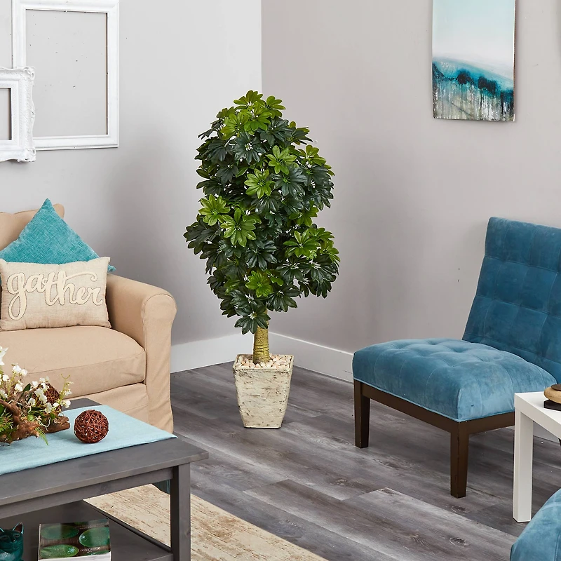 5ft. Umbrella Tree in Country White Planter