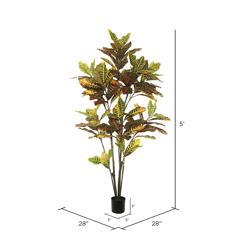 5ft. Potted Green & Orange Croton Tree