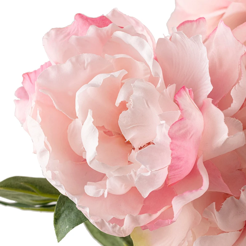 Pink Peony Bush by Ashland®