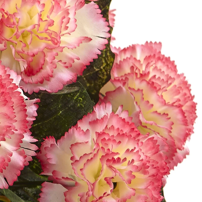 Carnation Arrangement In Vase