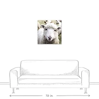 Curious Sheep 24" x 24" Canvas Wall Art