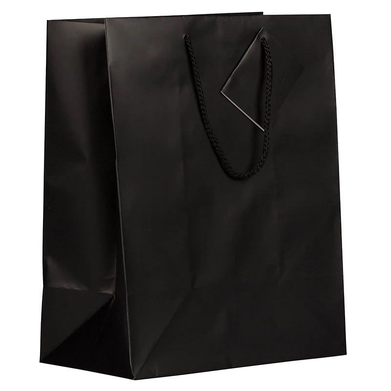 JAM Paper Large Matte Gift Bags