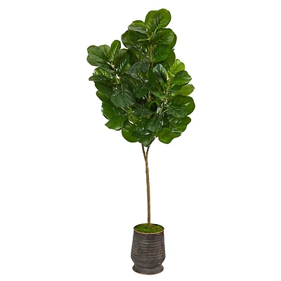 6ft. Fiddle Leaf Fig Tree in Ribbed Metal Planter