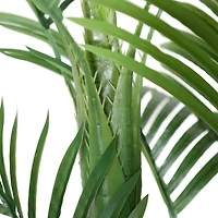 5ft. Potted Areca Palm Tree