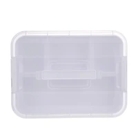 19qt. Storage Case by Simply Tidy®