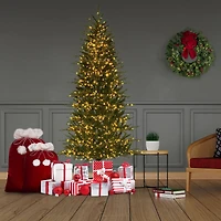 7ft. Pre-Lit Asheville Artificial Christmas Tree, Warm White LED Lights