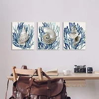 Stupell Industries Trio of Shell Coral Blue Beach Design in Frame Wall Art