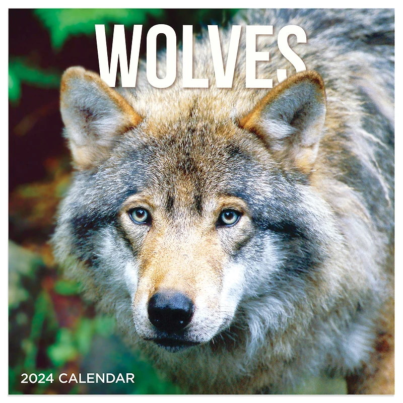 TF Publishing 2024 Wolves Mini Calendar