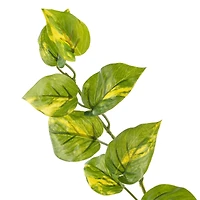 12 Pack: Hanging Philo Bush by Ashland®