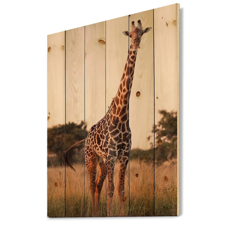 Designart - African Giraffe In The Wild I