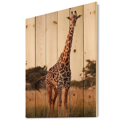 Designart - African Giraffe In The Wild I