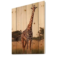 Designart - African Giraffe In The Wild I