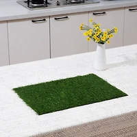 Green Grass Placemat by Celebrate It™