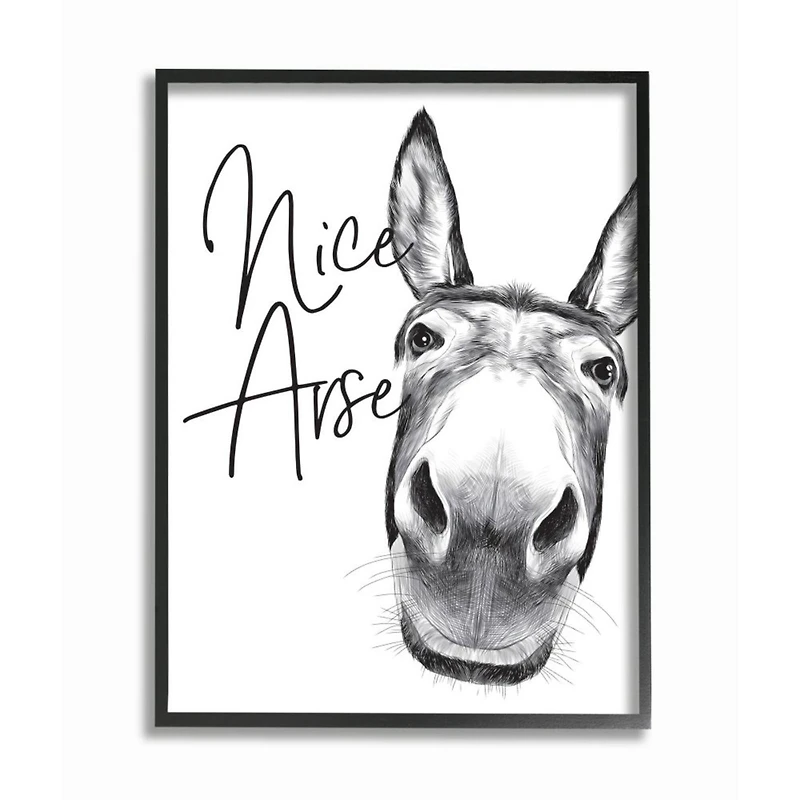Stupell Industries Animal Humor Nice Arse Donkey Bathroom Phrase Framed Wall Art