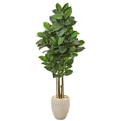 5ft. Rubber Leaf Tree in Sand Colored Planter