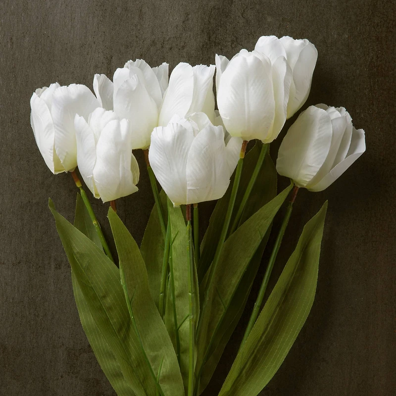 White Tulip Bush by Ashland®