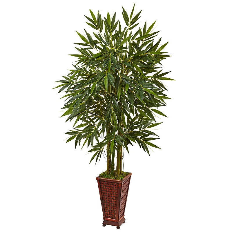 5.5ft. Bamboo Tree in Decorative Wood Planter