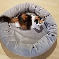 Royal Pet Bed Small Washable Luxury Velvet Dog Bed