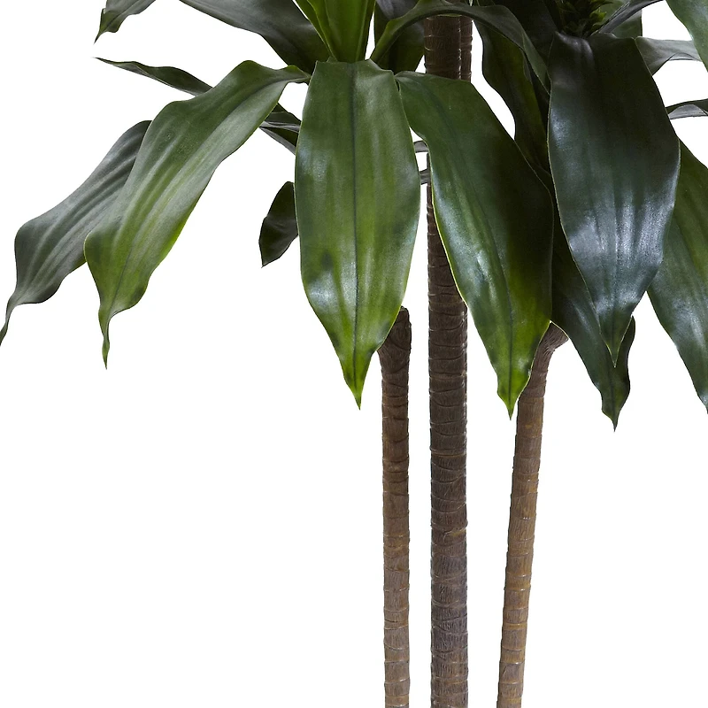 5ft. Potted Dracaena Plant