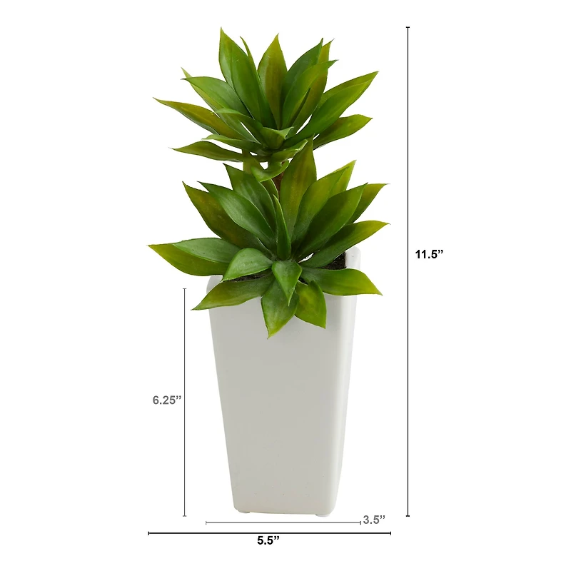 11.5" Double Mini Agave Succulent in White Planter