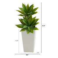 11.5" Double Mini Agave Succulent in White Planter
