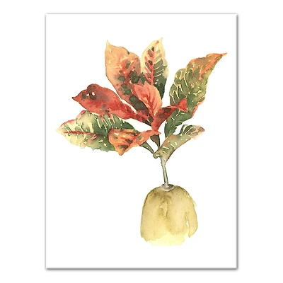 Bright Coastal Plant 12" x 16" Canvas Wall Art