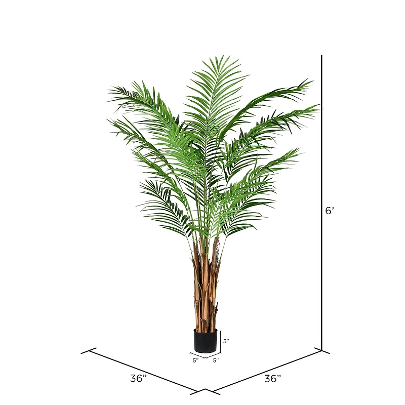 6ft. Potted Giant Areca Palm Tree
