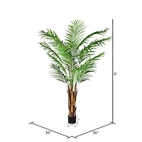 6ft. Potted Giant Areca Palm Tree