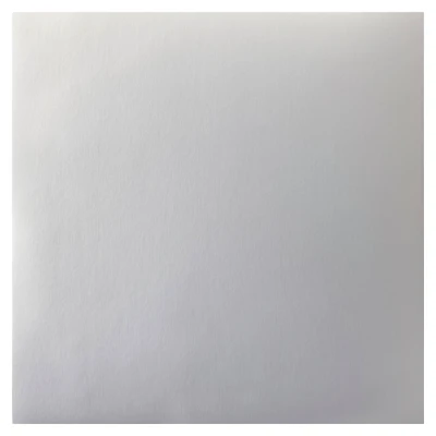 Silver Foil Matte Paper by Recollections®, 12" x 12"