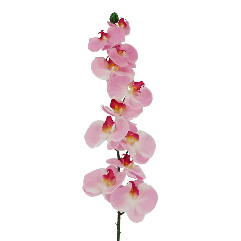37" Pink Orchid Stem by Ashland®
