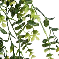 Green Hanging Eucalyptus Bush by Ashland®