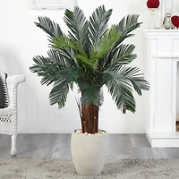 4.5ft. Cycas Tree in Oval Planter