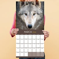 2026 Wolves Wall Calendar