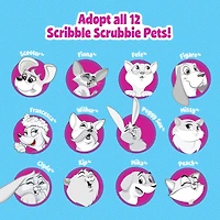 12 Pack: Assorted Crayola® Scribble Scrubbie™ Pets