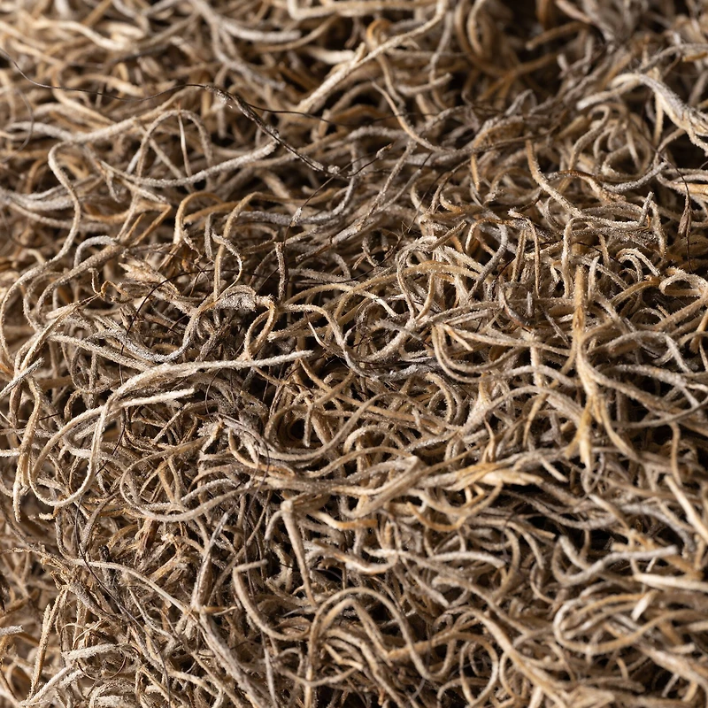 SuperMoss® Natural Preserved Spanish Moss, 24qt.