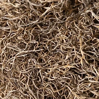 SuperMoss® Natural Preserved Spanish Moss, 24qt.