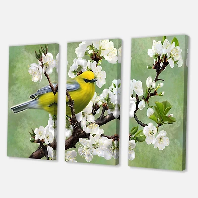 Designart - Bird On A Branch of Cherry