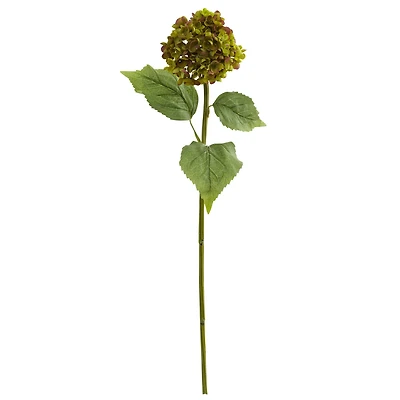 Hydrangea Stem