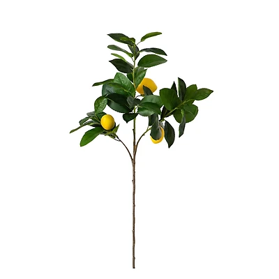 28" Lemon Branch Stems, 3ct.